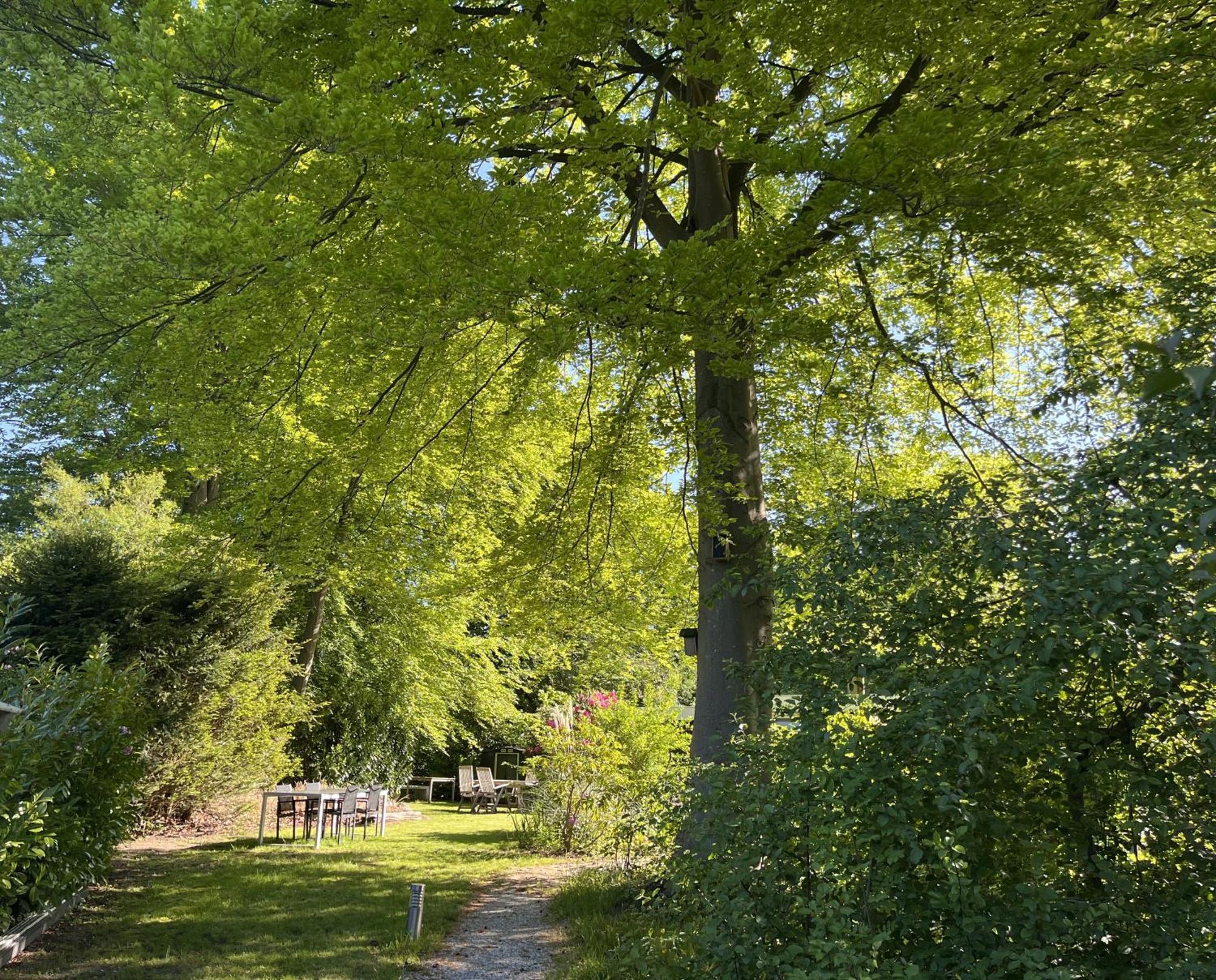 Bungalowpark De Bremerberg Biddinghuizen Ruang foto